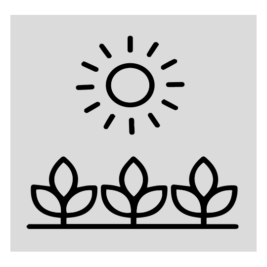 Organic farm icon