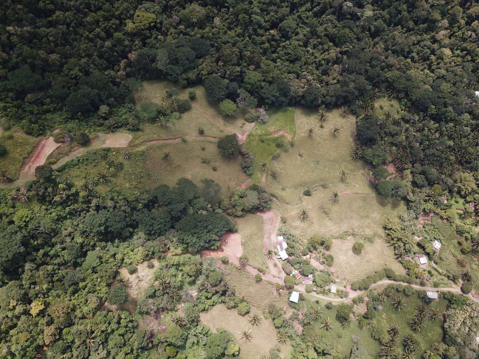 Aerial of the Farmstead Collection land before restoration: cattle pasture with erosion scars and a bare creek