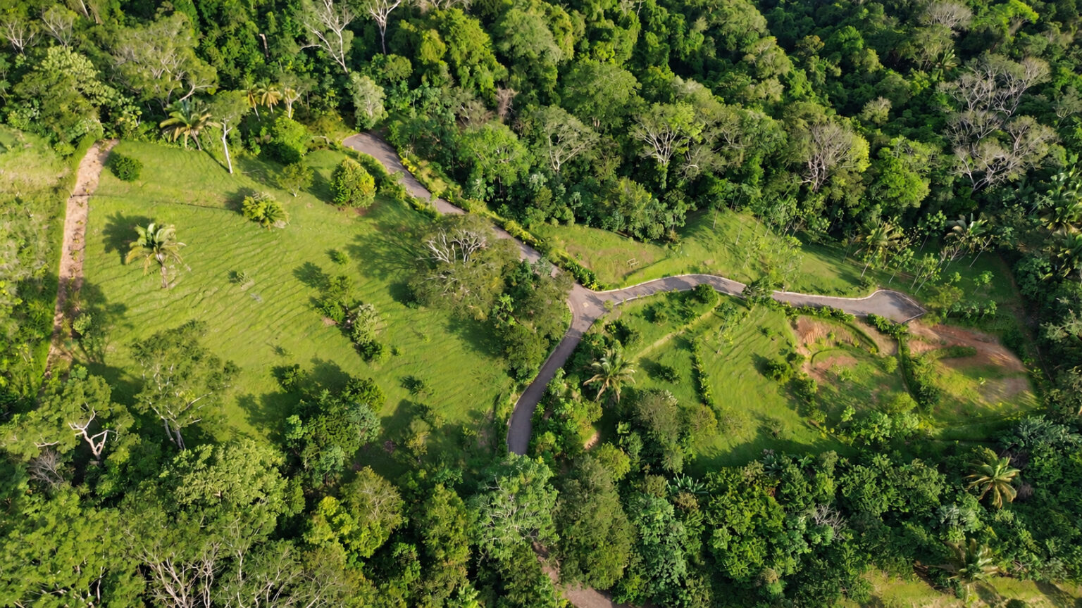 Aerial of Farmstead Collection today: reforested creek, planted trees and internal road