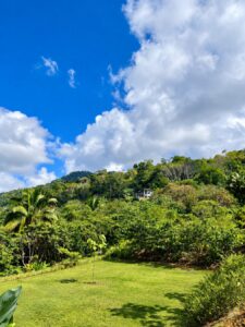 Ground-level view across Lot 01 toward the surrounding forest canopy, Uvita, Costa Rica