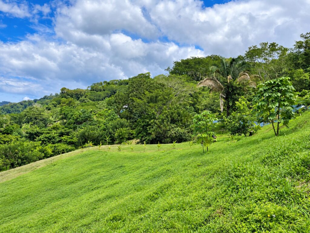 Lot 03 at Farmstead Collection, an elevated ocean-view homesite above the creek near Uvita, Costa Rica