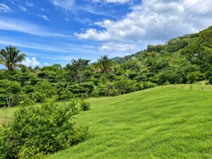 Open grassed slope on Lot 03 with jungle canopy and the Pacific horizon, Costa Ballena