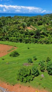 Aerial of Lot 03 showing the graded pad and forest edge, Farmstead Collection, Costa Rica