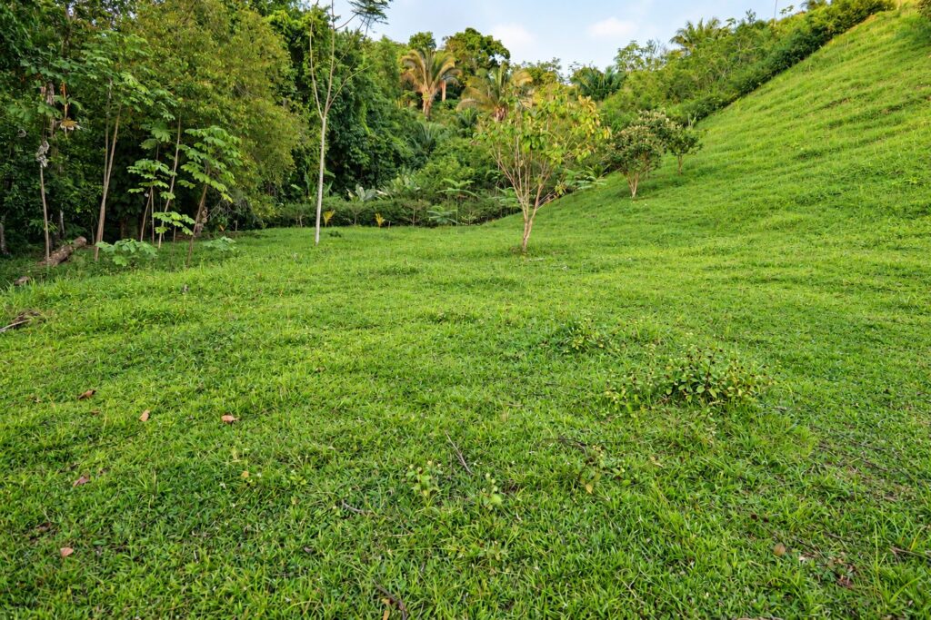 Open pasture on Lot 05 at Farmstead Collection, a 1.63-acre estate homesite near Uvita, Costa Rica