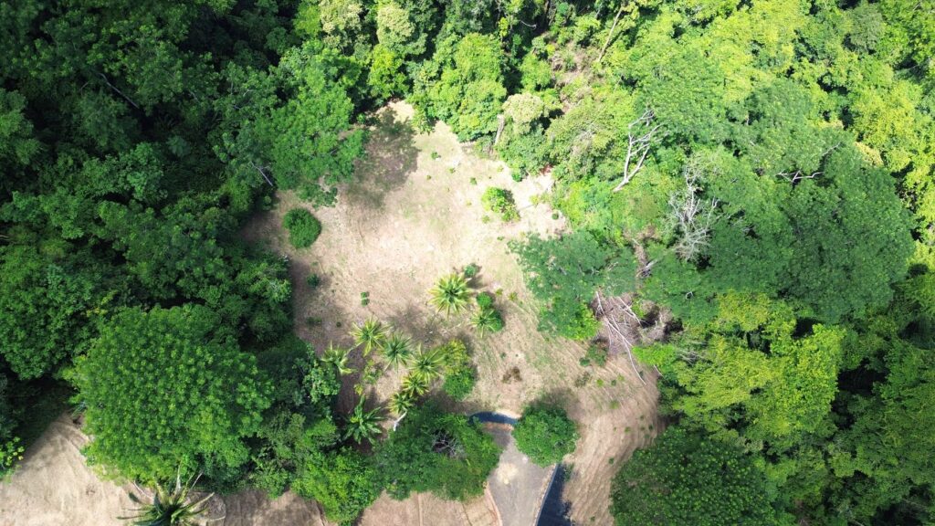 Aerial view of the Lot 07 clearing within the forest at Farmstead Collection, near Uvita, Costa Rica