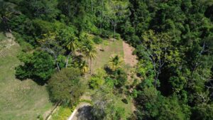 Lot 07 from above, a 0.78-acre secluded ocean and jungle homesite, Farmstead Collection