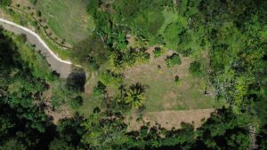 Aerial of Lot 07 and the internal access road through the forest, Farmstead Collection