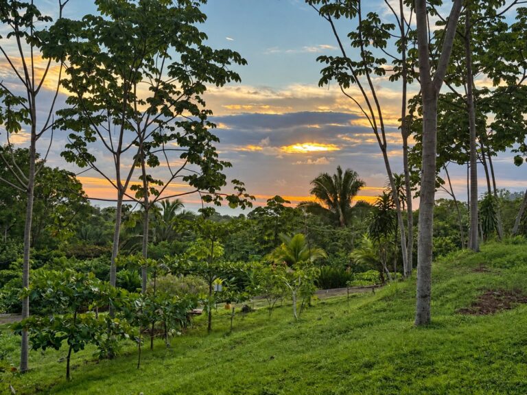 Evening light across Lot 09 at Farmstead Collection, a 0.31-acre coastal horizon homesite near Uvita