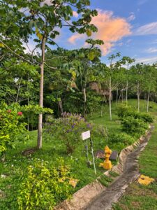 Finished road edge and underground utilities at Lot 09, Farmstead Collection, Costa Rica