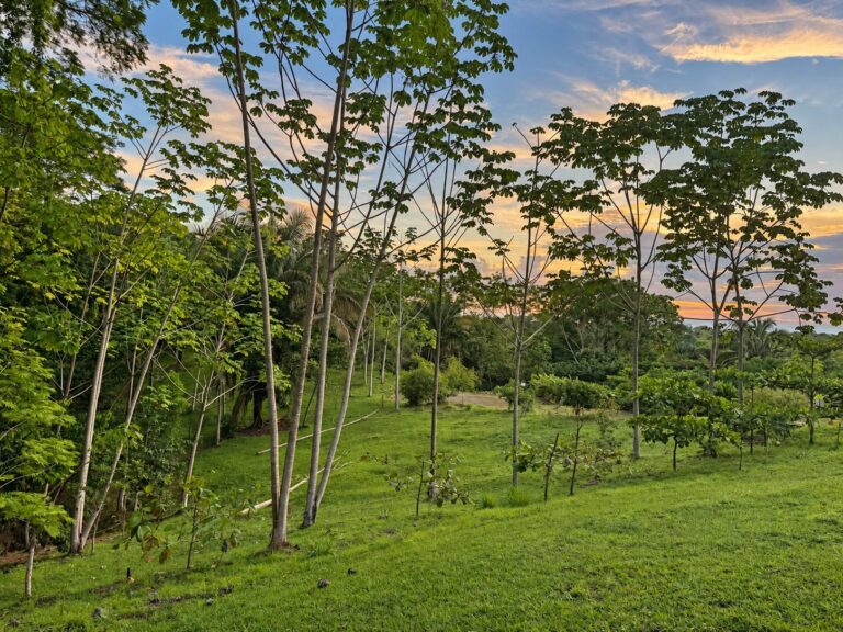 Lot 10 at Farmstead Collection, a 0.27-acre jungle-immersion homesite near Uvita, Costa Rica