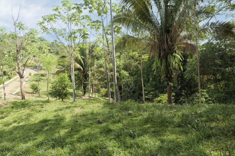 Aerial view of Lot 11 and the access road at Farmstead Collection, near Dominical, Costa Rica