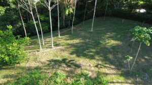 Lot 11 building area within the forest canopy, Farmstead Collection near Uvita